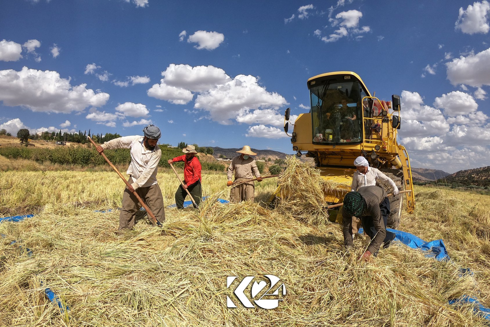 Berhemanîna birinca kurdî li parêzgeha Silêmaniyê zêde bûye